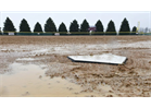 Ballpark is closed today due to field & weather conditions