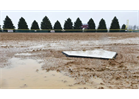 Ball Park is closed today due to low weather temps!